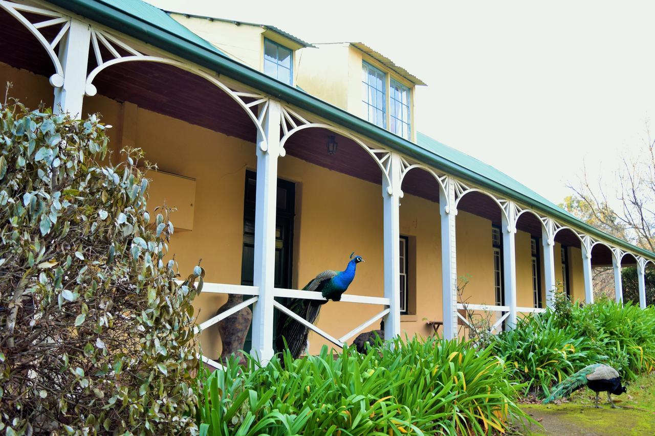 Cleburne Homestead Risdon Luaran gambar